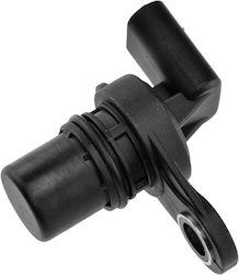 NTY Nockenwellensensor Autokühler für Chrysler Sebring Jeep Cherokee / Kompass / Patriot NTY Nockenwellensensor Autokühler für Chrysler Sebring Jeep Cherokee / Kompass / Patriot
