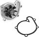 NTY Αντλία Νερού Αυτοκινήτου για Toyota Avensis / Avensis Verso / Carina / Celica / Corolla / Corolla Verso / Previa / RAV 4 Nissan Micra Ford Escort / Fiesta / Ka Mazda 121