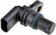 NTY Camshaft Sensor Car Engine Sensor for Citroen C8 Seat Alhambra / Arona / Ateca / Ibiza / Leon Skoda Citigo / Fabia / Kamiq / Karoq / Kodiaq Volkswagen Amarok / Arteon / Beetle / Caddy / Golf / Golf Sportsvan / Jetta Audi A1 / A3 / A4 / A5 / A6 / A7 / A8 Nissan PickUp Lexus SC