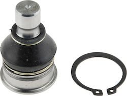 NTY Car Ball Joint NTY Car Ball Joint