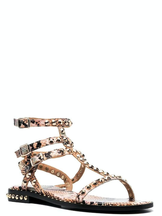 Deri Damen Gladiator Sandalen Beige