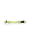 Glee Hundehalsband Lime Groß 25mm x 46 - 66cm