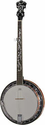 Ibanez B200 5χορδο