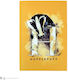 Cinereplicas Carnet 120 Foi A5 Multicolor