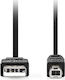 Nedis USB 2.0 Кабел USB-A мъжки - USB-A мъжки / USB-B мъжки Черен 3м CCGL60100BK30