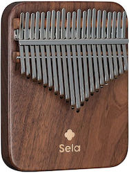 Sela 21 Ноти