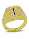 Paraxenies Damen Chevalier Ring mit Zirkonia aus Silber Vergoldet