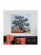 I-gallery Πίνακας σε Καμβά 70x70cm