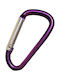 Chengxin Metallic Purple Keychain