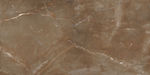 Piccadilly Armani Floor Interior Gloss Granite Tile 120x60cm Brown