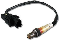 AEM Senzor Auto