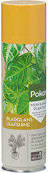 Pokon Leaf Shine