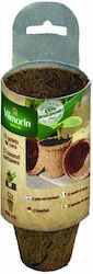 Vilmorin Ghiveci De Plantare