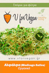 Geo Bavicchi Seeds Organic Farming