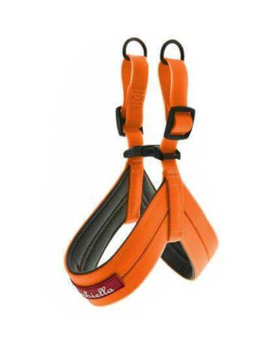Ferribiella Dog Harness Fun Flat Orange Large -80cm HI772
