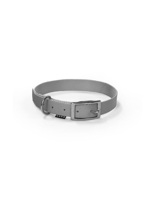 Glee Dog Collar in Gray color 16mm x 41cm 88595