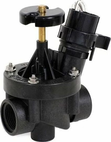 Rainbird Vanele de irigare electrice 1" 24V cu filet Femeie (M/F)