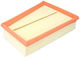 Filtron Car Air Filter for Renault Megane