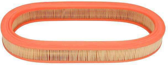 Filtron Car Air Filter for Ford Escort