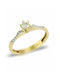 Paraxenies Single Stone from Gold 14K