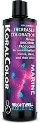 Brightwell Aquatics Aquarium Water Treatment for Vitamin Boost 250ml