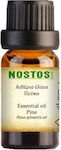 Nostos Pure Αιθέριο Έλαιο Πεύκο 10ml