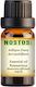 Nostos Pure Essential Oil Rosemary 50ml