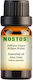 Nostos Pure Essential Oil Cedar 10ml