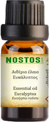 Nostos Pure Αιθέριο Έλαιο Ευκάλυπτος - Eucalyptus (Radiata) 10ml