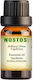 Nostos Pure Γαρδένια Gardenia Αιθέριο Έλαιο Γαρδένια 5ml