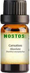 Nostos Pure Γαρύφαλλο Απόλυτο - Carnation Absolute 10ml