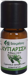 Biogalaxy Етерично масло Cupressus 10мл