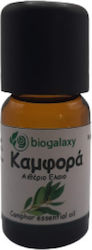 Biogalaxy Essential Oil Ho Wood 10ml Biogalaxy Essential Oil Ho Wood 10ml