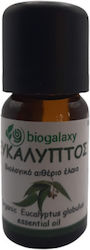 Biogalaxy Organic Ulei Esențial Eucaliptus 10ml