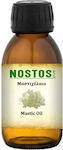 Nostos Pure Λάδι Σώματος Μαστίχα 500ml