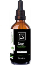 Gaia Products Έλαιο Αβοκάντο 100ml Gaia Products Έλαιο Αβοκάντο 100ml