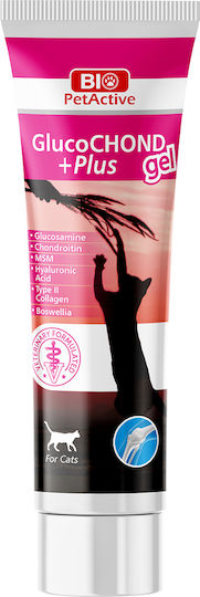 Bio Petactive Plus Gel Adult Πάστα για Αρθρώσεις 100ml