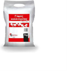 Romitec Гипс за ръкоделие 1kg Romitec Гипс за ръкоделие 1kg