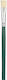 Royal Talens Pensulă de Pictură cu Formă Plată ...