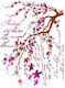 Stamperia Stencil Designs