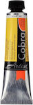 Royal Talens Yellow Oil Colour 40ml