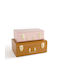La Redoute Interieurs Dekorative Truhen-Set Koffer Metallisch Gelb 2Stück 33x49x20cm