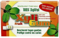 Xyligum Chewing gum 15gr