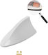 Carsun Car Antenna Roof Sticker for Radio with Amplifier in White Color