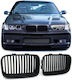 BMW Car Decorative Mask BMW Series 3 (E36) / Series 3
