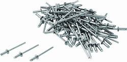 Lux Tools Πριτσίνια Inox M3x10mm 100τμχ