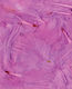 Artemio Pink Craft Wing