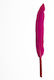 Vostex Fuchsia Craft Wing