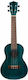 Bumblebee Ukuleles Concert Γιουκαλίλι Concert Blue