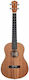 Cascha Bariton Ukulele